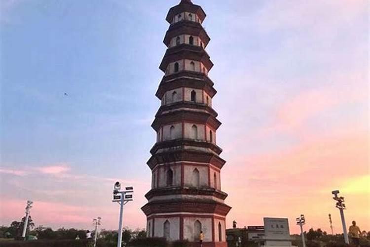 太岁多少钱