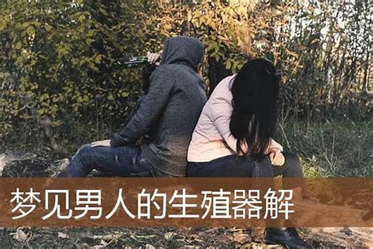 梦见梦看到一个男人生殖气超大