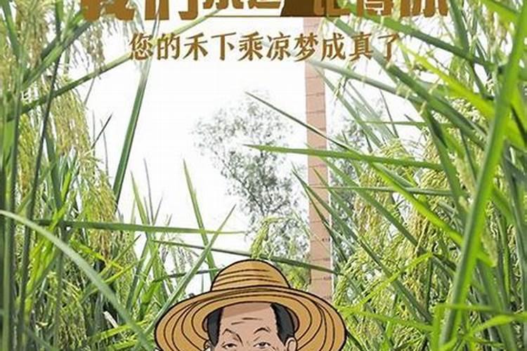 中国恢复在联合国的合法席位的原因,时间.意义,内容