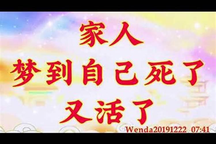 梦见黑猫向我扑过来