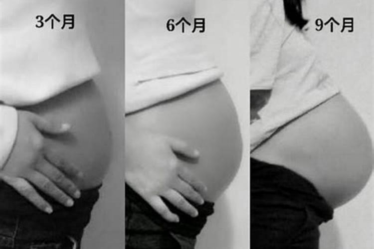 冬至节气出生的生肖鼠命运如何 冬至节气出生的运势好吗