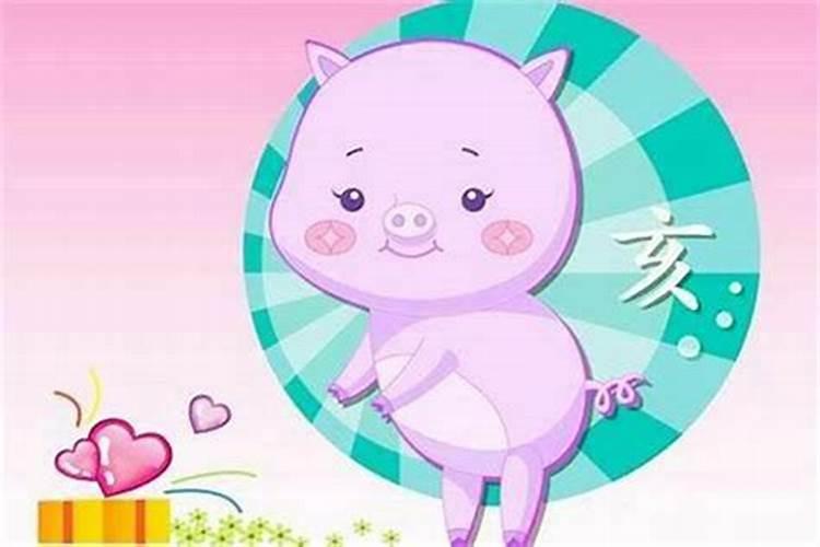 1971年的猪2025年运势如何？