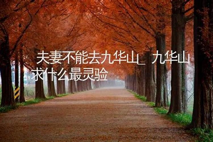 九华山求姻缘去哪个寺庙最,九华山求签最灵的寺庙