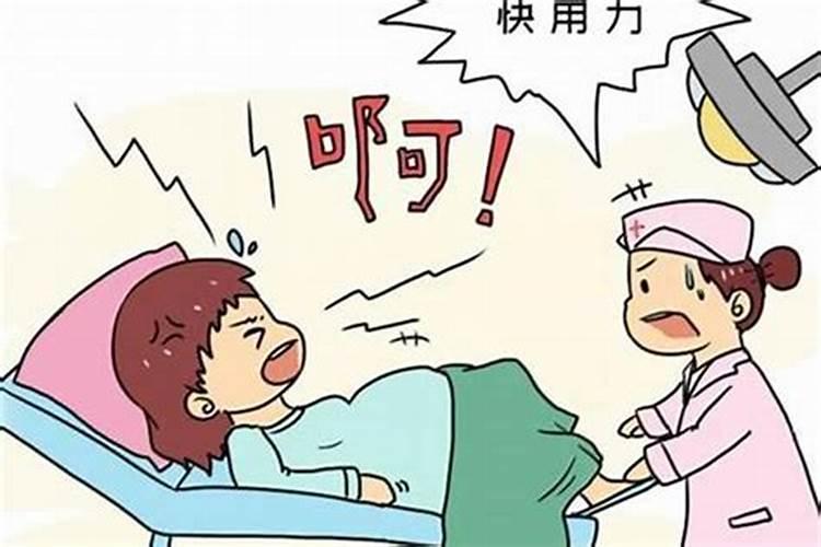 属虎犯太岁的年份