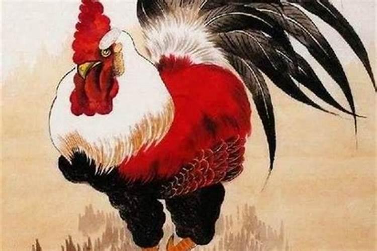 做梦梦见蛇还梦到老公出轨了