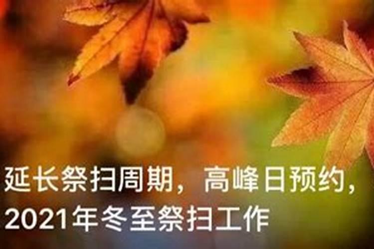 冬至各地都吃什么
