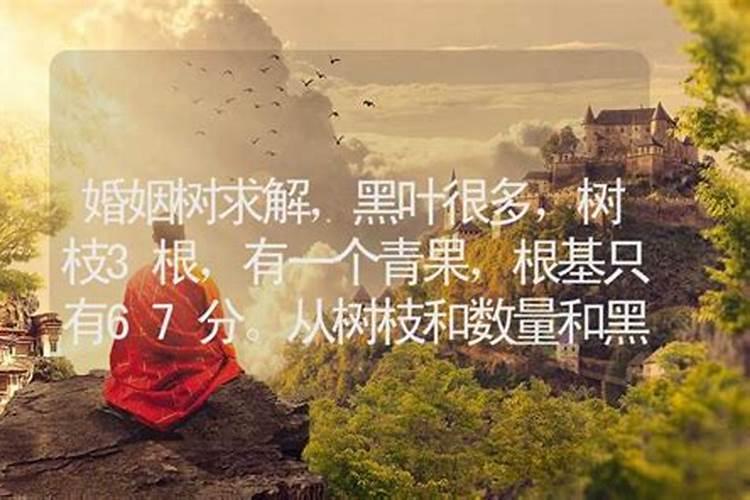 梦到丈夫去世是吉是凶