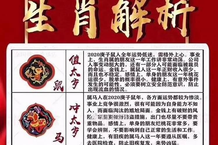2025年6月8号十二生肖运势