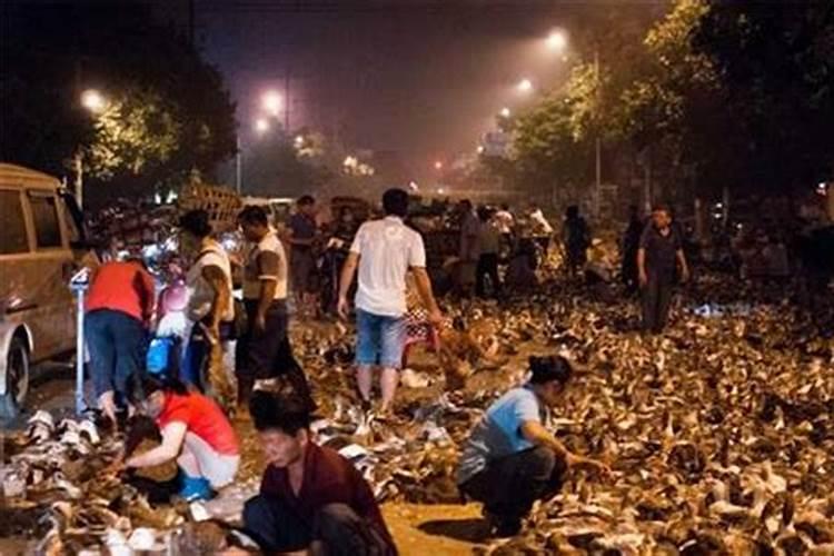 生肖马1966年2025年运势如何 生肖马1966年2025年全年运势