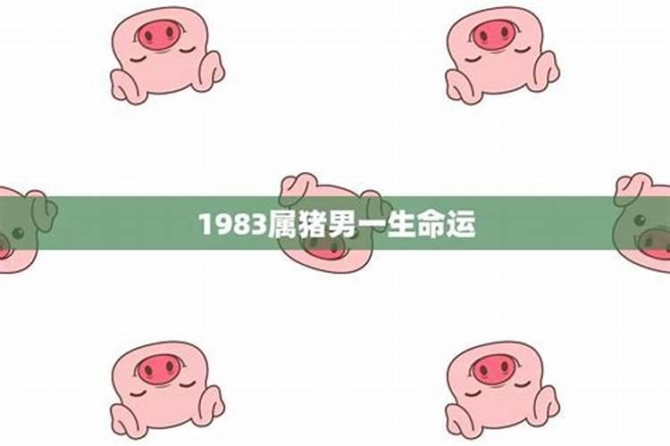 兔和鸡在一起对谁不利