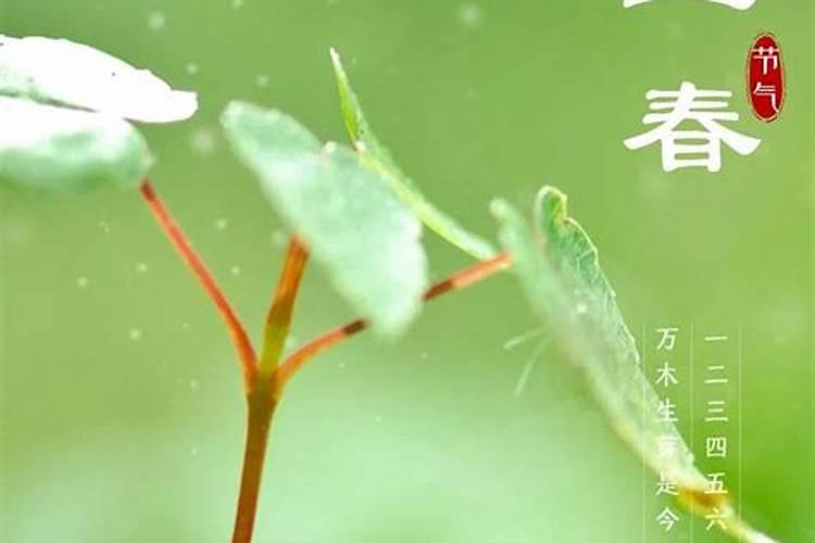 立春后是什么节气？同学们,帮我想想吧