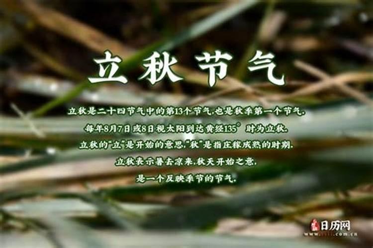 属鼠的人2025年运势及运程