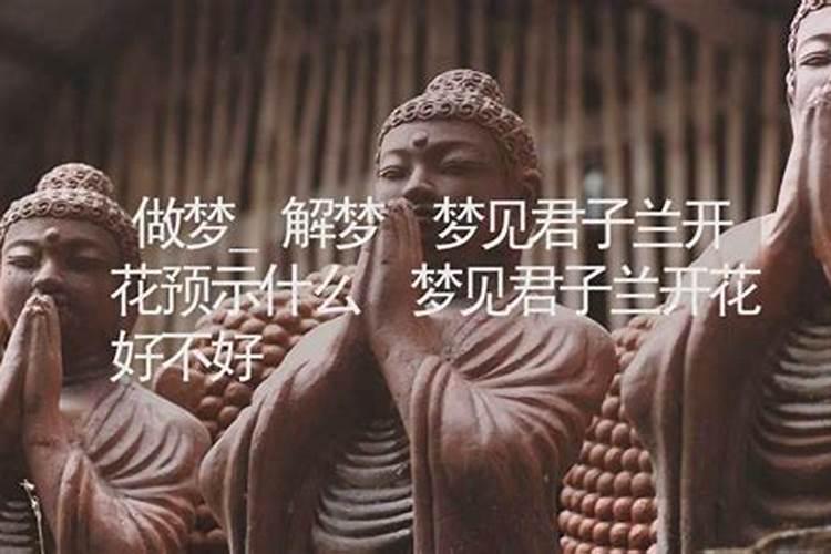 2025属猪犯太岁怎么化解吉凶