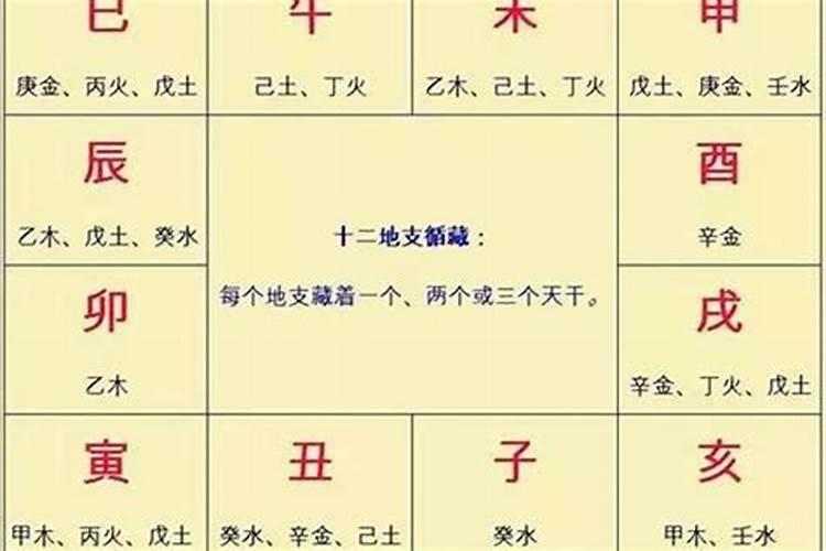 十二生肖五行属相表