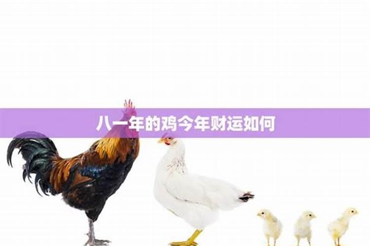 属鸡男人和属猪女人相配吗