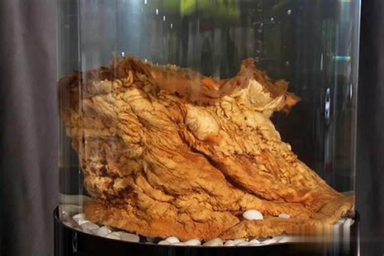 我属马老婆属羊,快生了,这两天想剖腹选什么时候好(是个男孩)