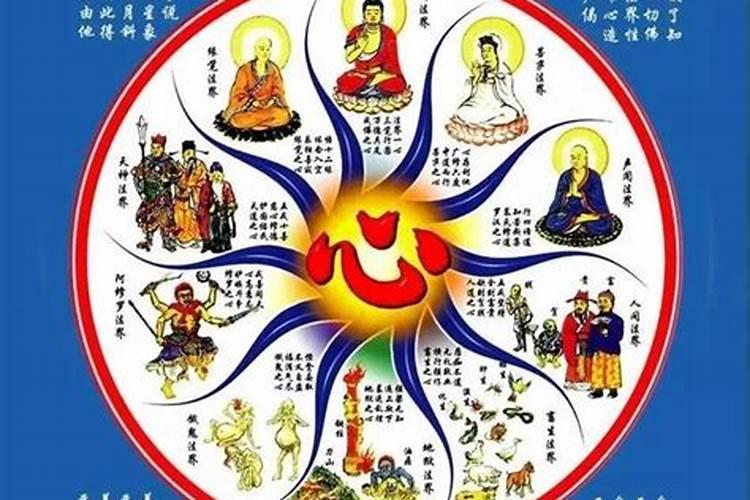 花姐命查询