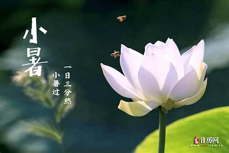 梦见家在坟地旁边的预兆