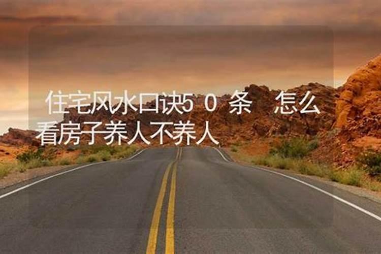农历1964年12月2o曰出生的一辈子命运