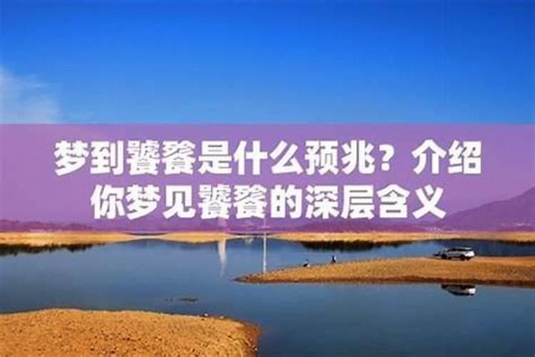 梦见过年回家是什么意思