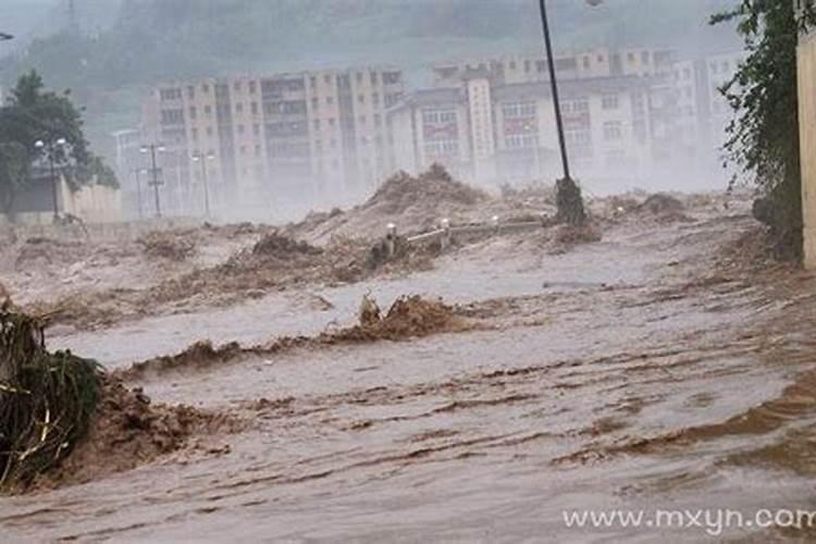 2022公司清明节的活动方案