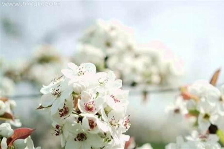 弥勒佛的生日,出家日,成道日是什么时候