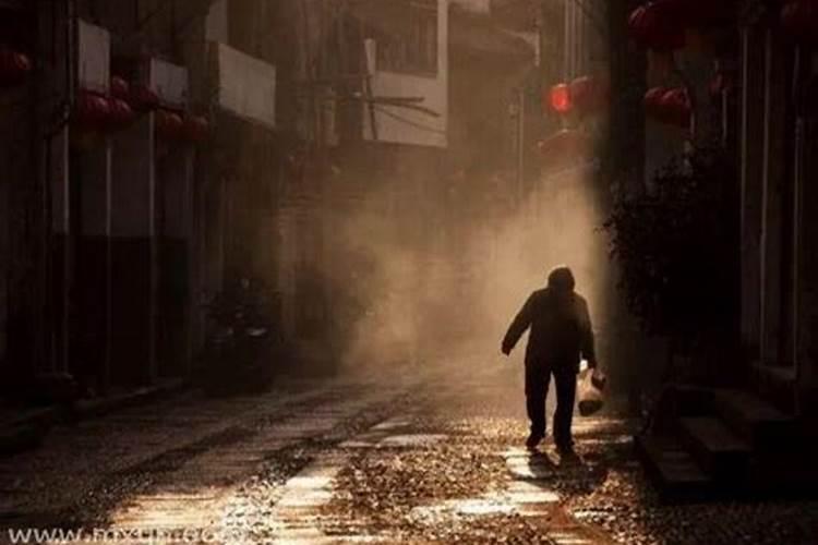 梦到乌龟和蛇是什么意思？