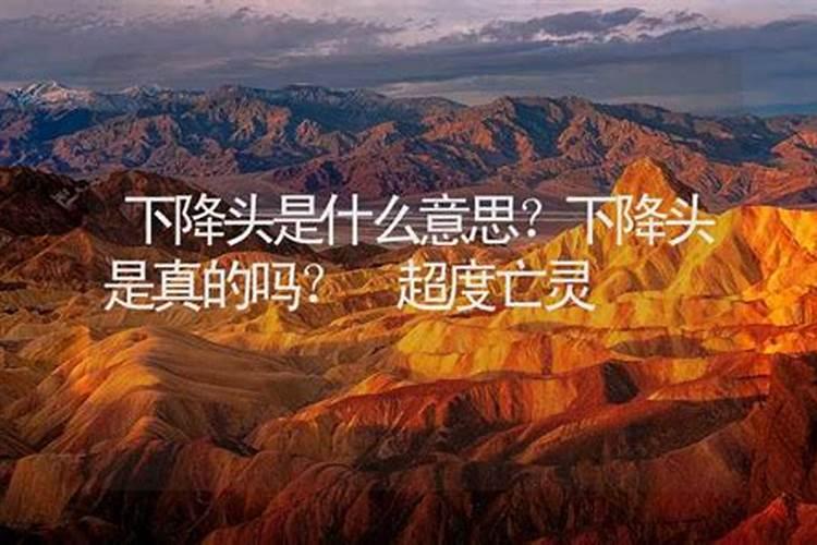 属兔和属蛇的人在事业上合作好不好