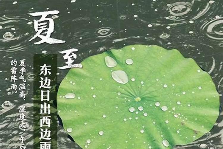 属龙2025年运势及运程每月运程