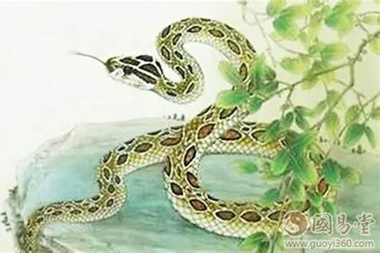 手相算命准还是八字准,手纹算命准确吗