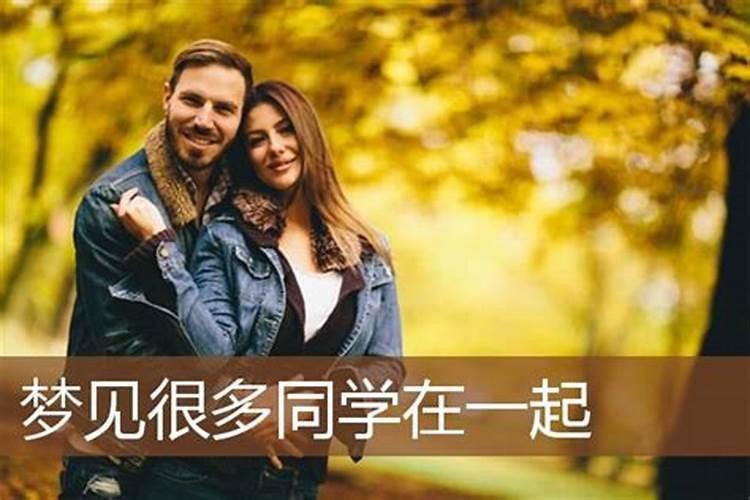 5月15号属狗出生日的命运解析