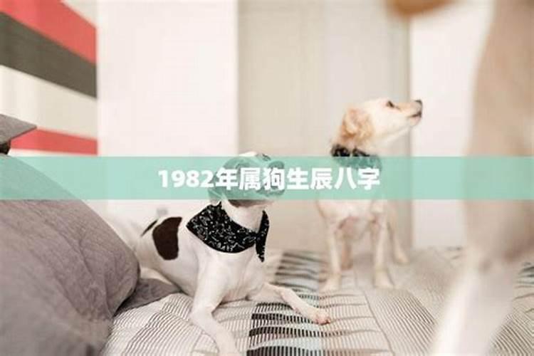 属虎的24年能结婚吗女