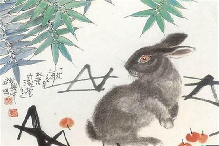 属兔的人2025年运势及运程详解