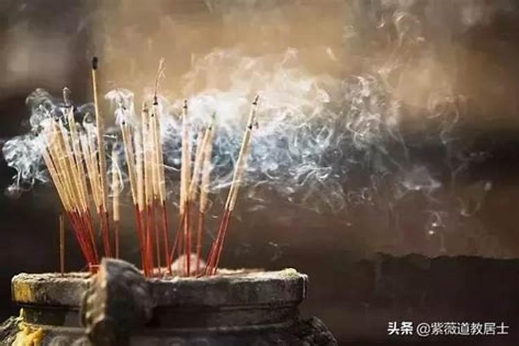 做梦弟弟被狗咬着好吗