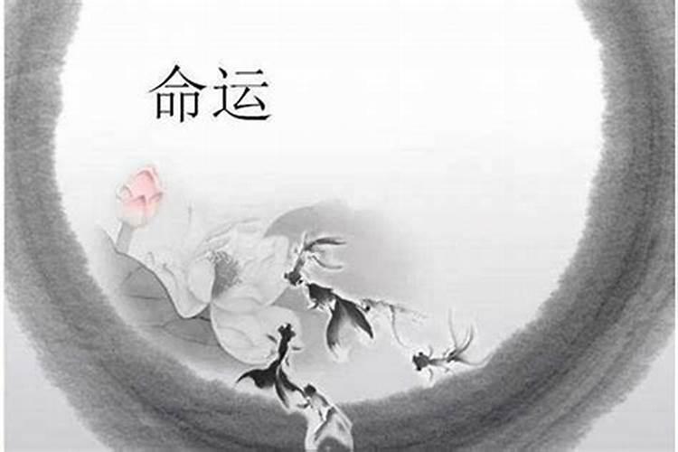 四柱所有神煞详解