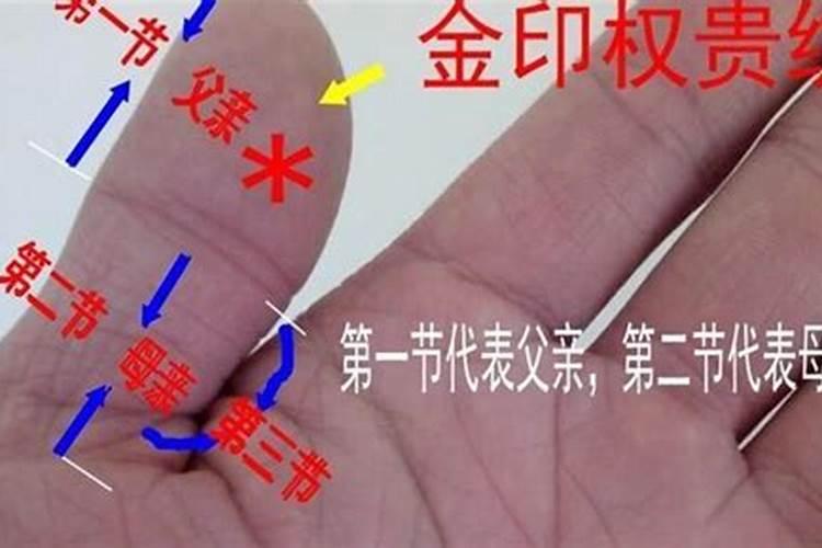 1982年农历6月初四在五行中是什么命