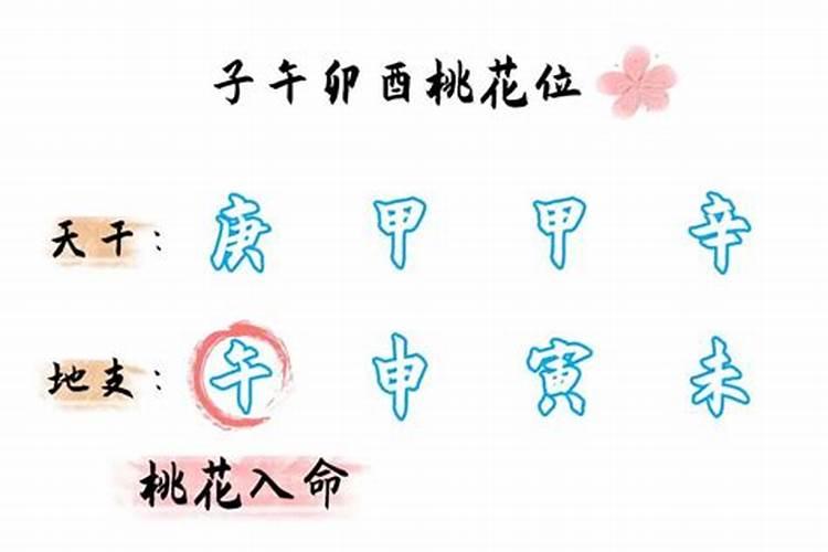 属蛇人2025年犯太岁的化解方法