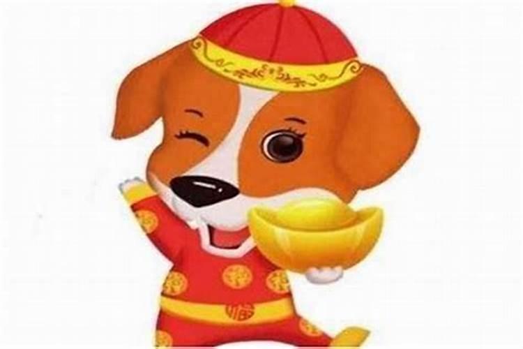2025年属猪的人的全年运势