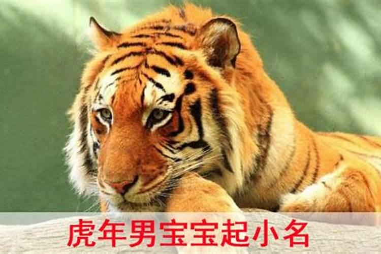 梦到陌生异性喜欢自己有什么预兆