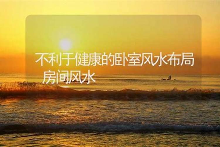 做梦梦到大蛇是什么征兆