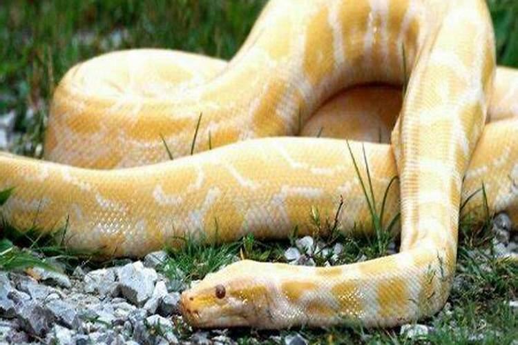 二十一点二十一分是什么意思