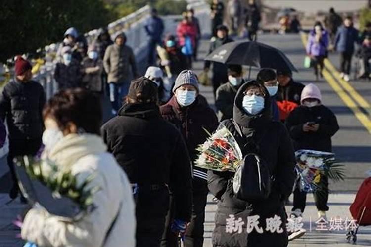 属猪2025年犯太岁怎么化解