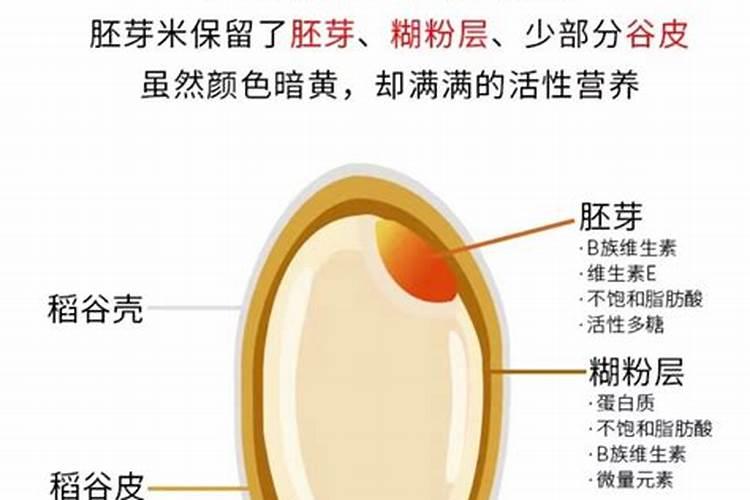 梦见还同学债的预兆