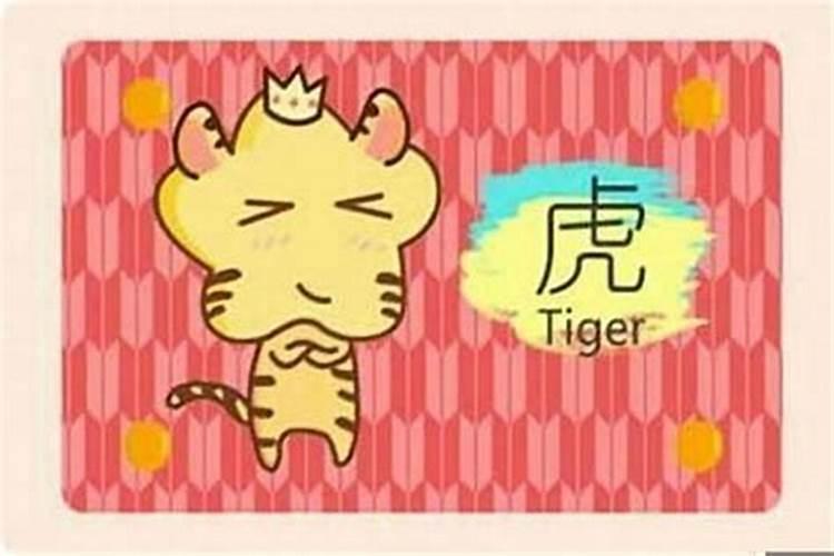 虎和兔的属相适合做夫妻吗