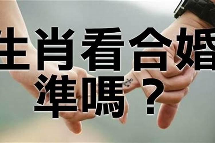 石榴木命和什么命适合做生意合伙 大溪水命和石榴木命事业互助？