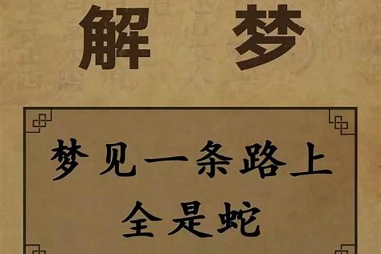 周公解梦全解梦见蛇