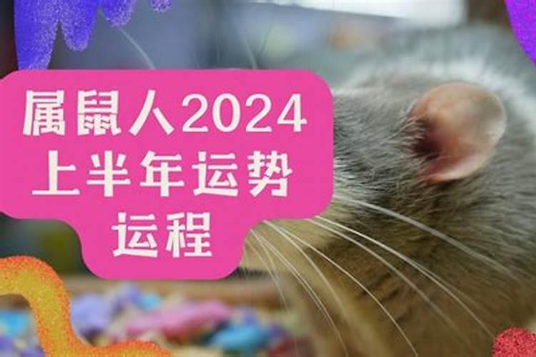 1946年出生狗2025多大了