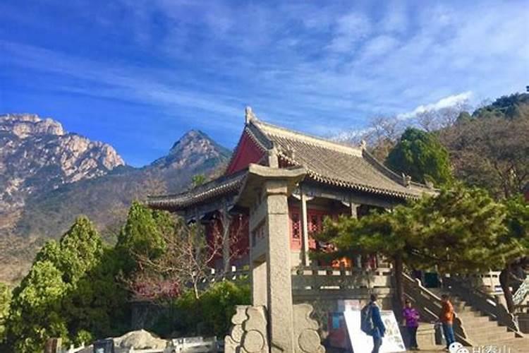 梦见坟地有水