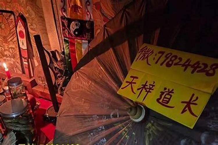 属牛人一生命运与姻缘