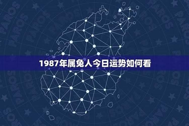 我梦见去了一个陌生地方有个店老板养了一条黄色的大狗,结果狗就主动...